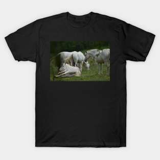 Wild Horses T-Shirt